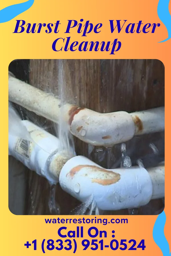 Burst Pipe Water Cleanup in Gray, TN