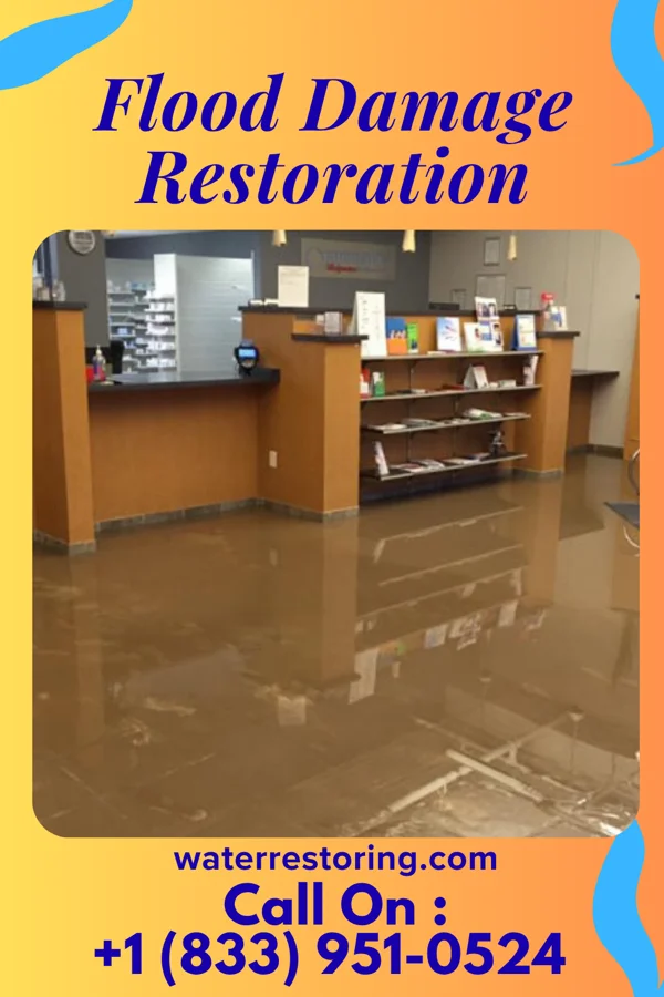 Flood Damage Restoration in Gray, TN